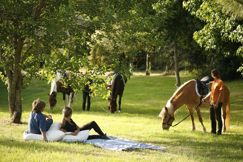 Herdade Da Matinha Country House & Restaurant Cercal do Alentejo Экстерьер фото