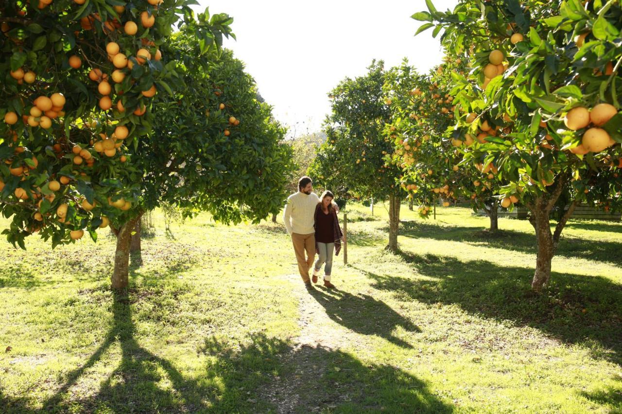Herdade Da Matinha Country House & Restaurant Cercal do Alentejo Экстерьер фото